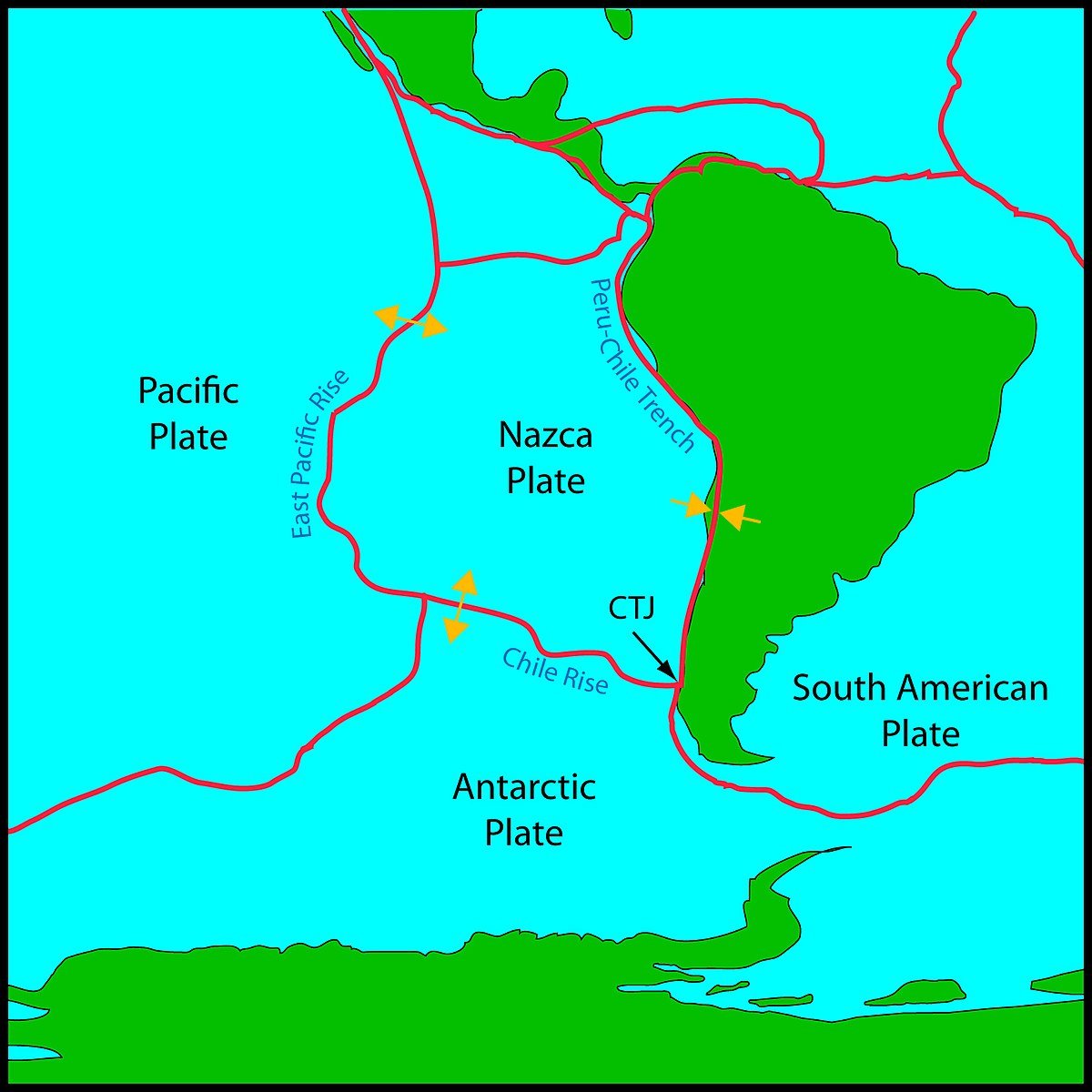 Diagram showing the Nazca Plate subducting beneath the South American Plate, forming the Andes Mountains and granite batholiths used in Machu Picchu’s construction—an essential part of Machu Picchu science travel.
