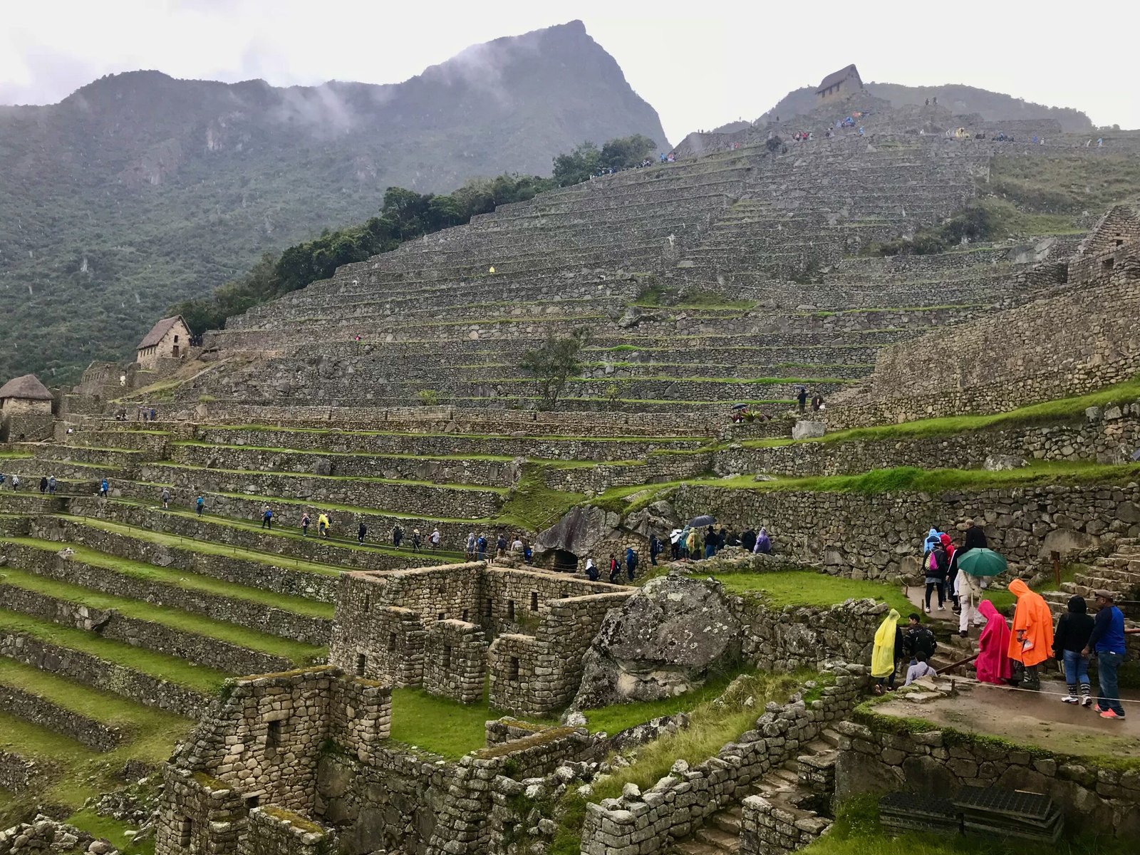 View of Machu Picchu’s stone terraces on a rainy day in December—rows of agricultural platforms climbing the mountainside, a hallmark of Inca engineering featured in Machu Picchu science travel.