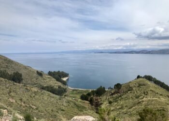View of Lake Titicaca from a hillside, showing terraced farms, patches of trees, and the Andes Mountains along the distant shore.