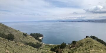 View of Lake Titicaca from a hillside, showing terraced farms, patches of trees, and the Andes Mountains along the distant shore.