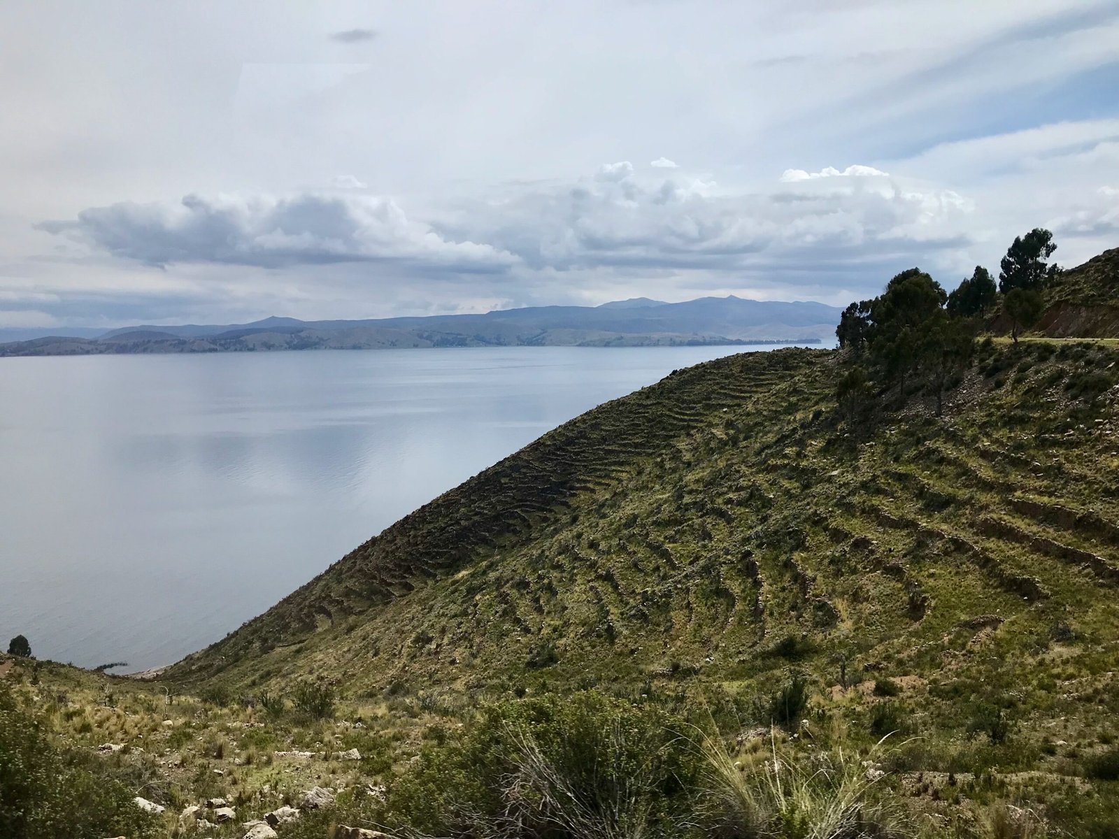 Lake Titicaca with steep terraced farmland in the foreground and the foothills of the Andes Mountains stretching along the horizon.