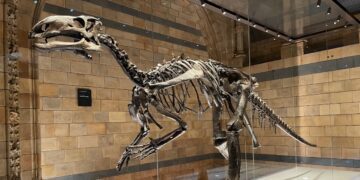 Natural History Museum London: Discover Nature’s Wonders