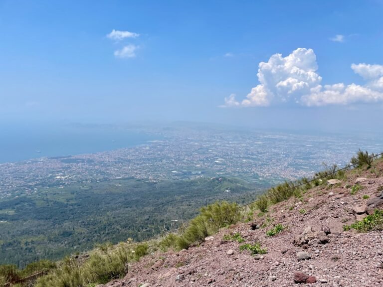 MINIMAL WIDE LEG PANT VIEWS OF VESUVIUS