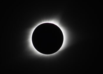 Photo via Good Free Photos