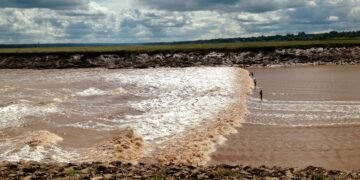 Surfers riding the Moncton tidal bore wave on the chocolate-brown Petitcodiac River beneath partly cloudy summer skies.