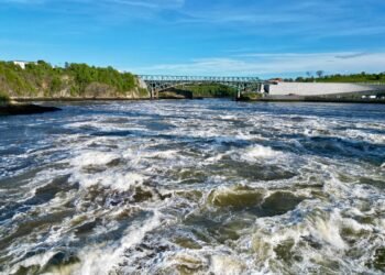 Turbulent whitewater rapids at the Reversing Falls in Saint John, New Brunswick, viewed at low tide with the Reversing Falls Bridge spanning the gorge in the background.