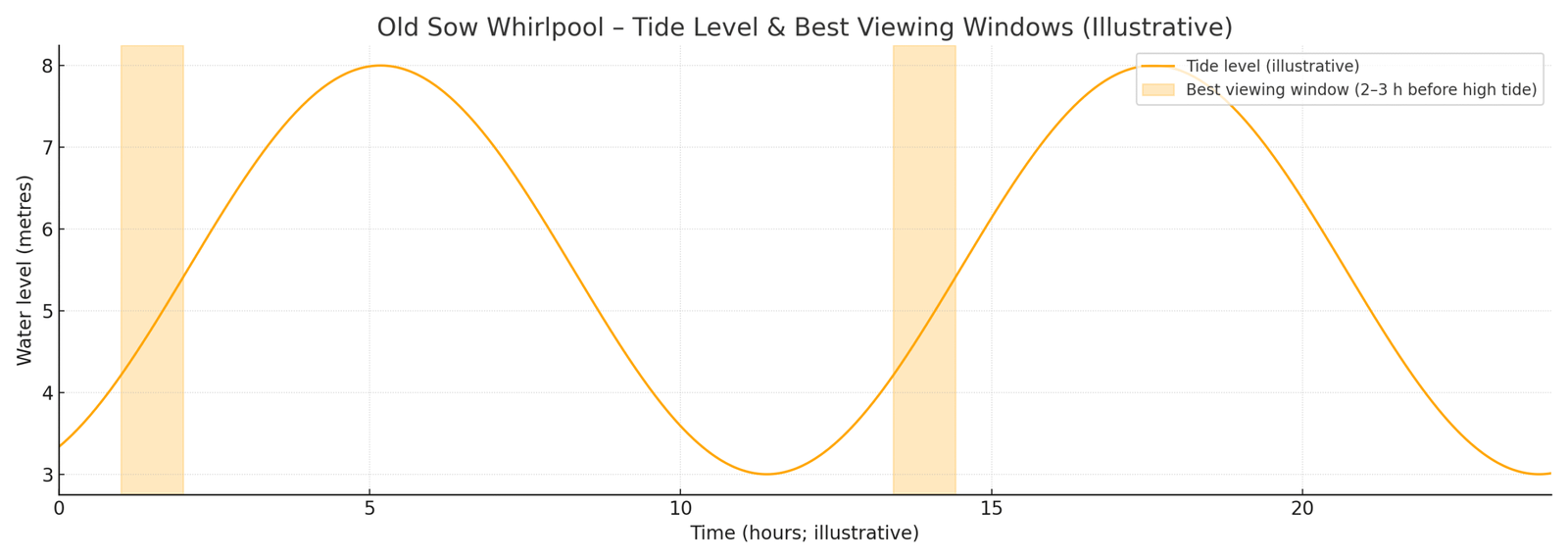 Tide chart showing water levels over a 24-hour period at the Old Sow Whirlpool, with shaded areas highlighting the best viewing times two to three hours before high tide.