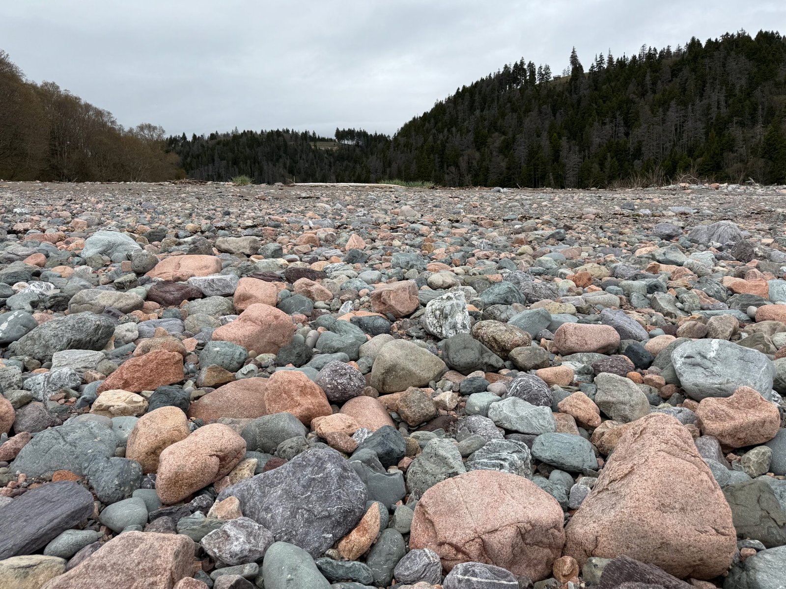 Colorful glacial erratics in the Salmon River near the Fundy Trail Parkway