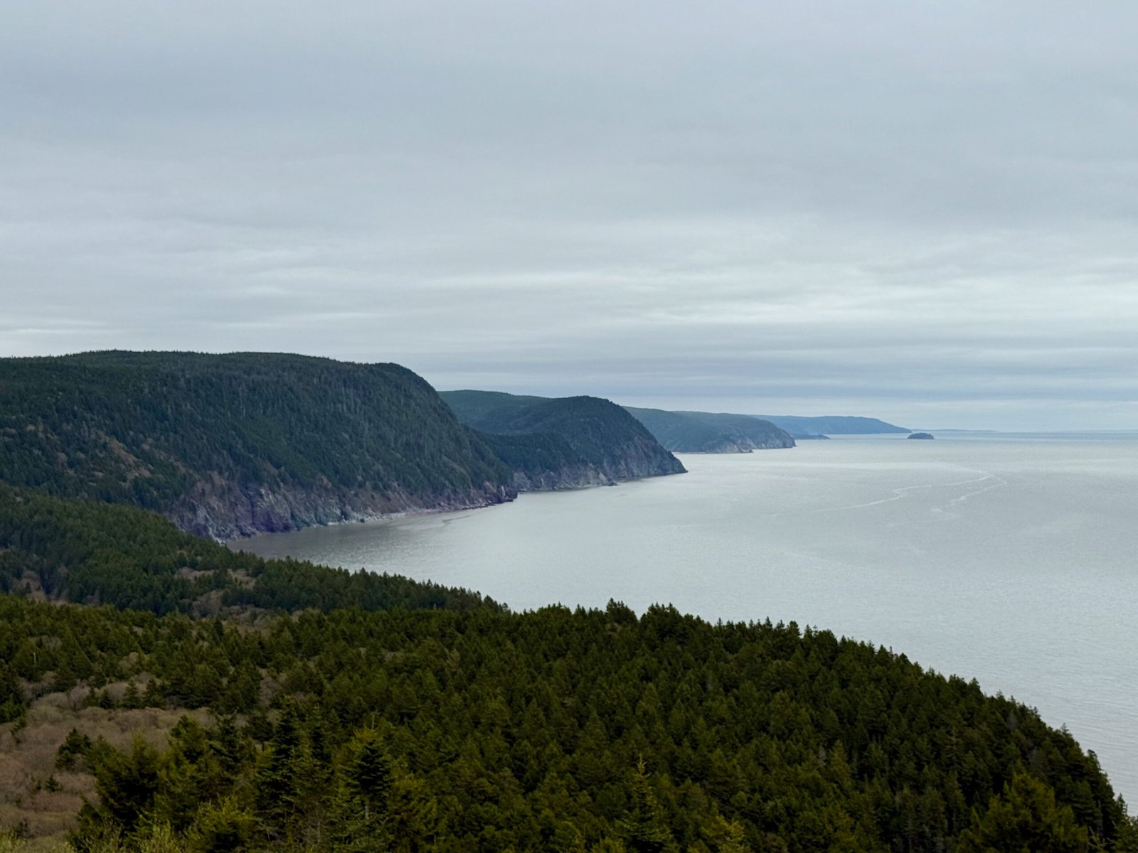 Rugged Bay of Fundy coastline seen from Martin Head Lookout on the Fundy Trail Parkway