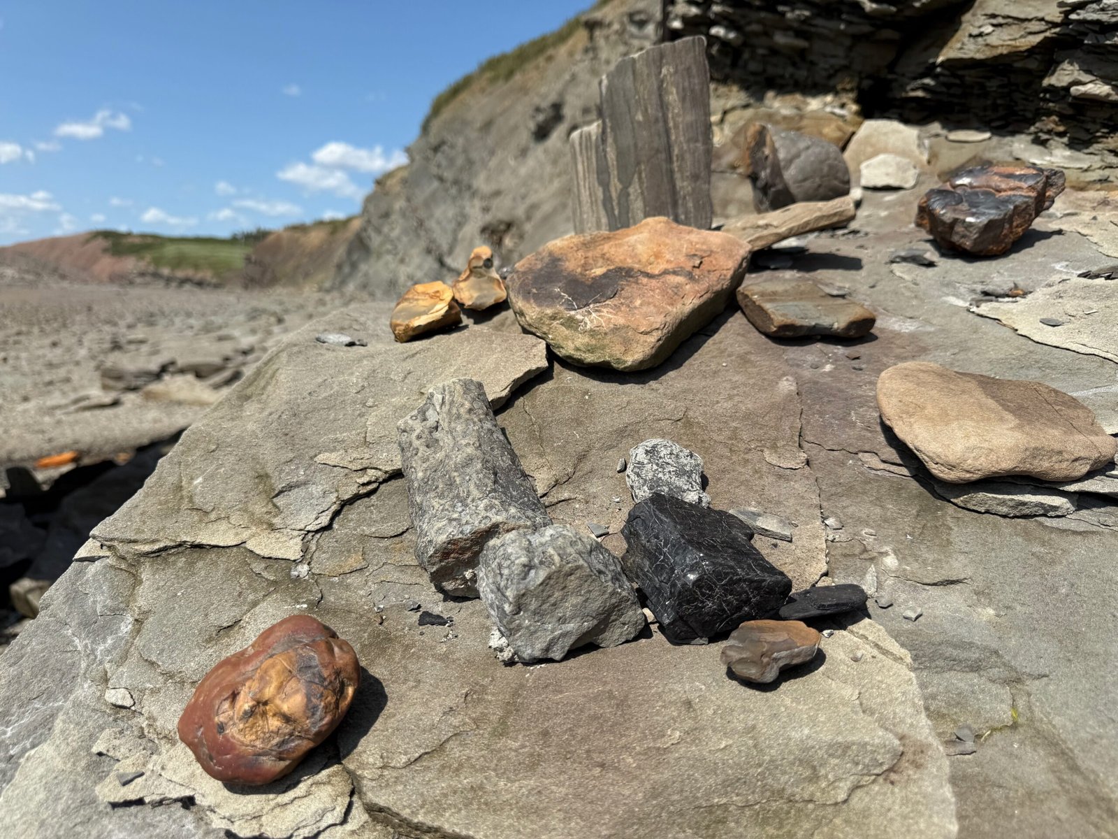 Fossils and rocks arranged on stones by visitors at the base of the stairs leading to the Joggins Fossil Cliffs beach.
