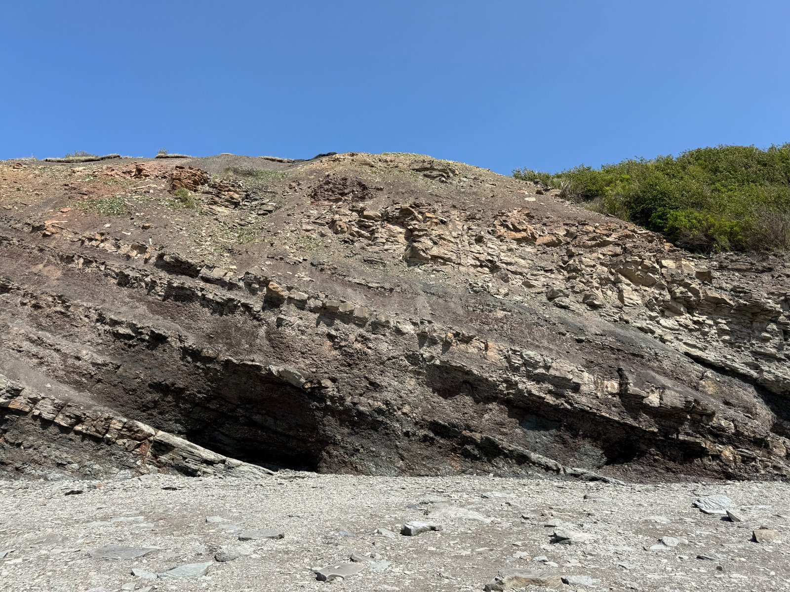 View of tilted sedimentary rock layers at Joggins Fossil Cliffs under a blue sky, showing the geological strata exposed by erosion.