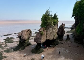 Visitors walking beneath the rock formations at Hopewell Rocks during the Hopewell Rocks tides at low tide, with the Bay of Fundy in the background.