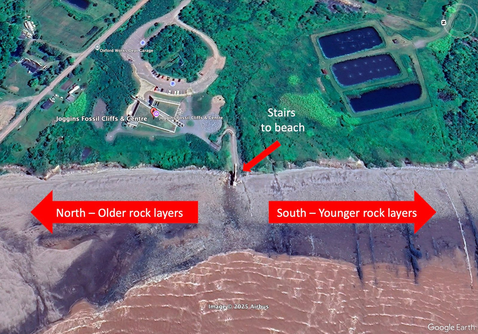 Aerial view of Joggins Fossil Cliffs beach with arrows indicating younger rock layers to the south and older rock layers to the north, starting from the stairs to the beach.