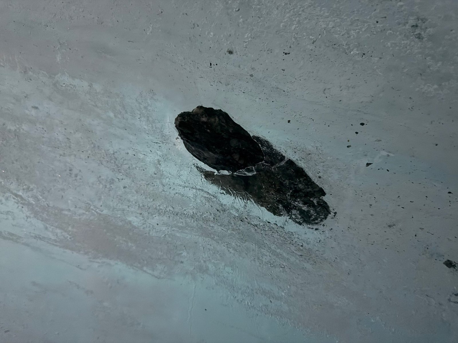 Dark rock embedded in clear glacier ice wall inside the Grotte de Glace, showing glacial transport and geological processes.