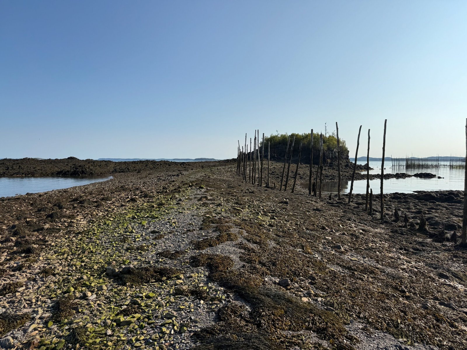 Sandbar at low tide leading to Crow Island, New Brunswick, Bay of Fundy - access point for Crow Island fossils.
