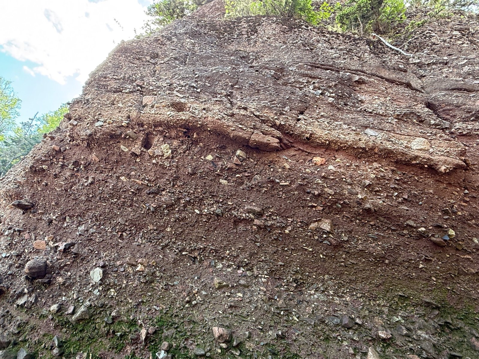 Conglomerate rock at Hopewell Rocks with visible layers of rounded stones and gravel compressed into solid rock.