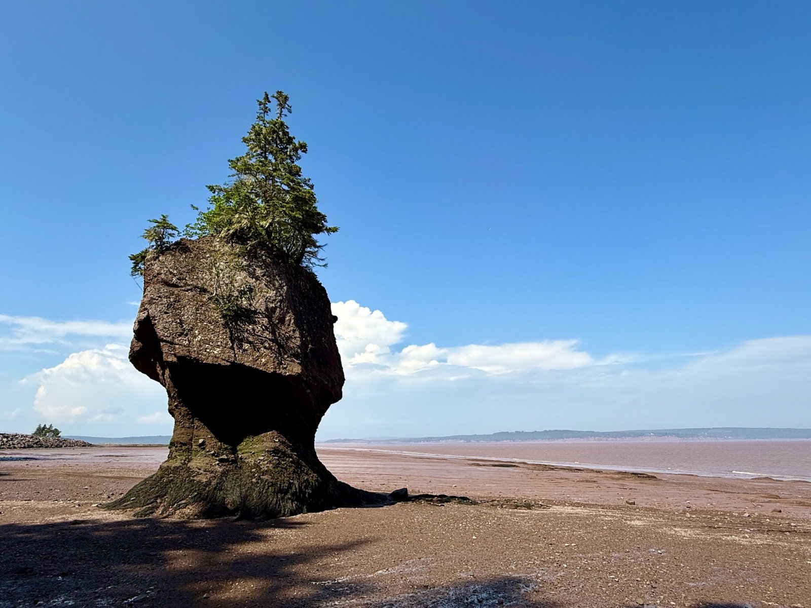 Lone rock pinnacle north of the stairs at Hopewell Rocks, exposed by the Hopewell Rocks tides at low tide, with the brown waters of the Bay of Fundy in the background.