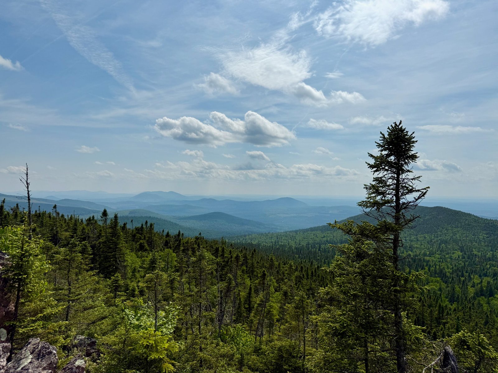 View from the Mount Carleton Trail near the summit, showing Appalachian Mountains in the distance and forested slopes of Mount Carleton Provincial Park.