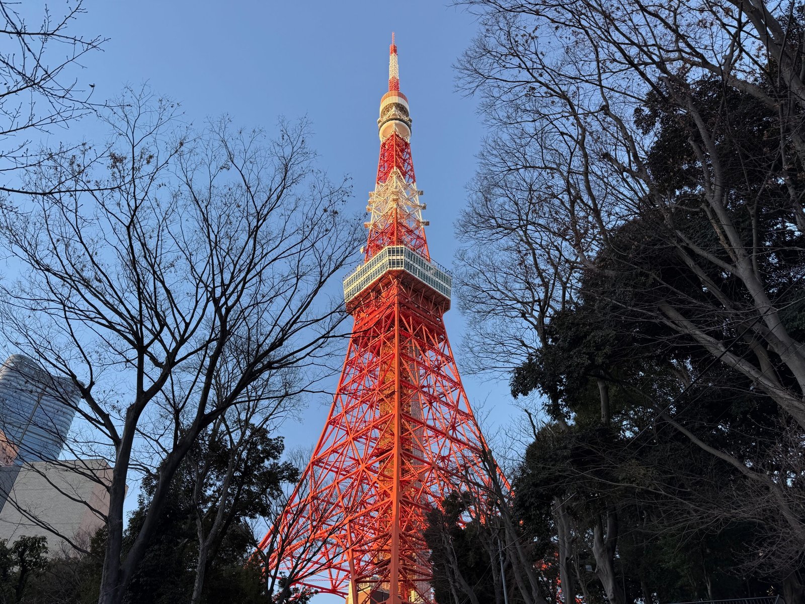 Tokyo Tower sunset view before golden hour, photographed from the park at its base in January with bare winter trees and a clear sky.