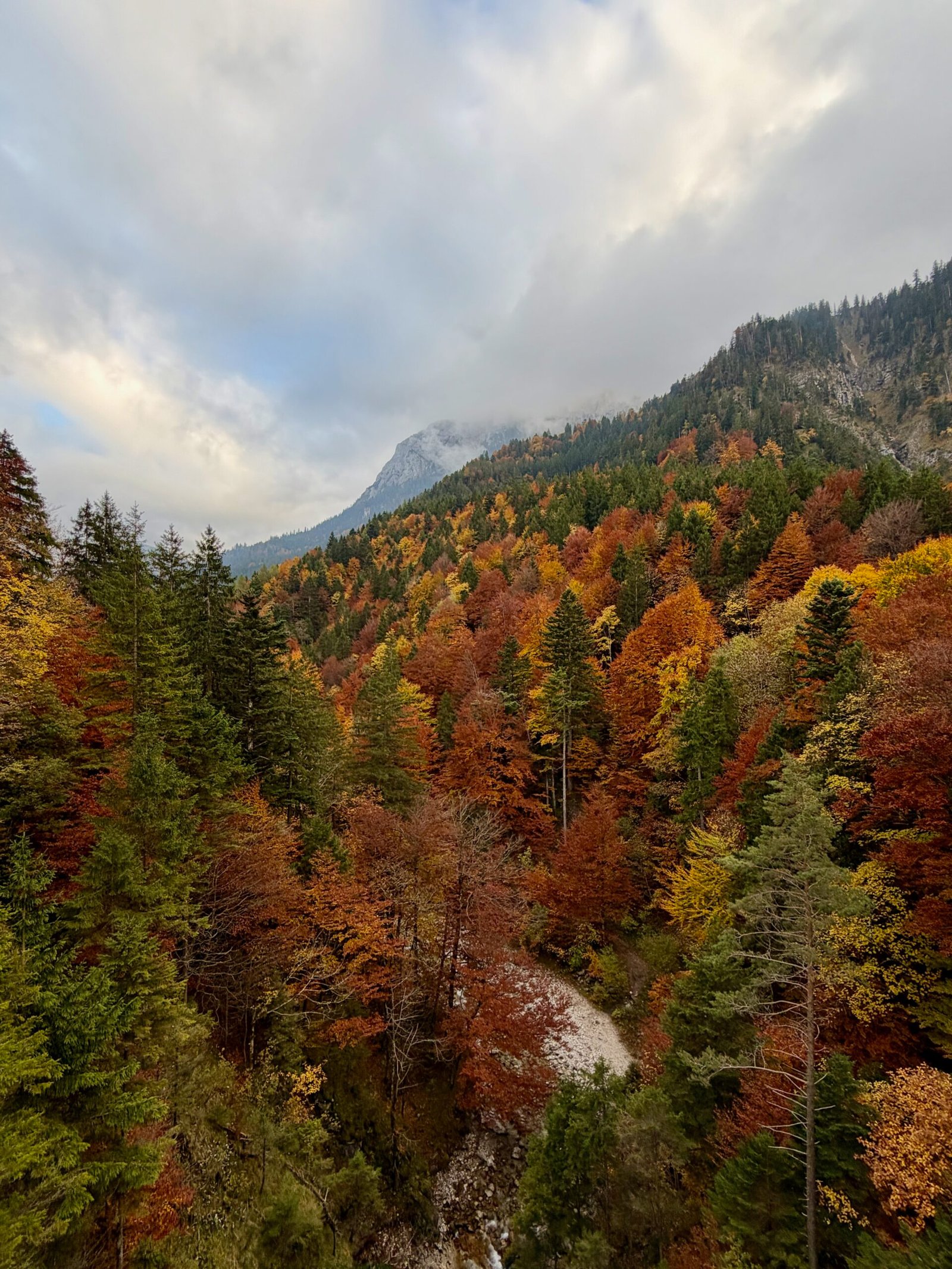 View from Marienbrücke near Neuschwanstein Castle showing the Pöllat Gorge and Bavarian Alps shaped by Ice Age glaciers, with autumn forest below.
